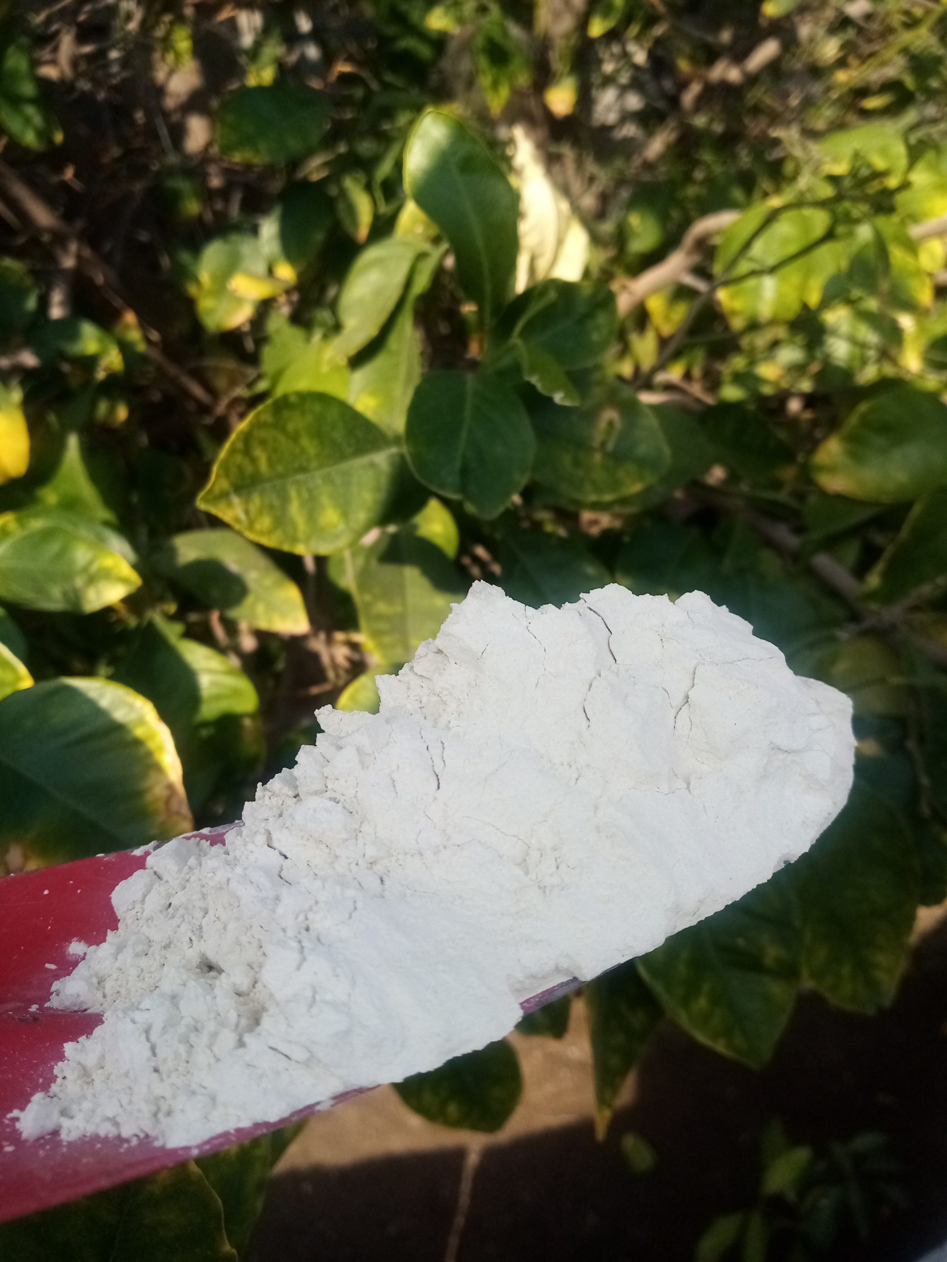 نوره خوب و طبیعی بصورت طبیعی